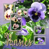Atelier Art - Pretty Pansies Bundle