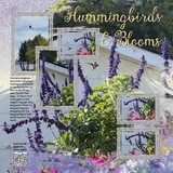 Atelier Art - Pretty Pansies Bundle
