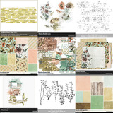 Floramira Scrapbook Collection