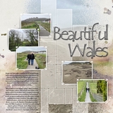 Artistic License Opaque Mosaic