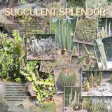 Artistic License - 100 Masked Moments Page Fillers