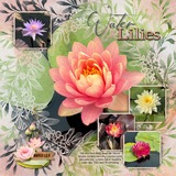 Together FOREVER - September 2025