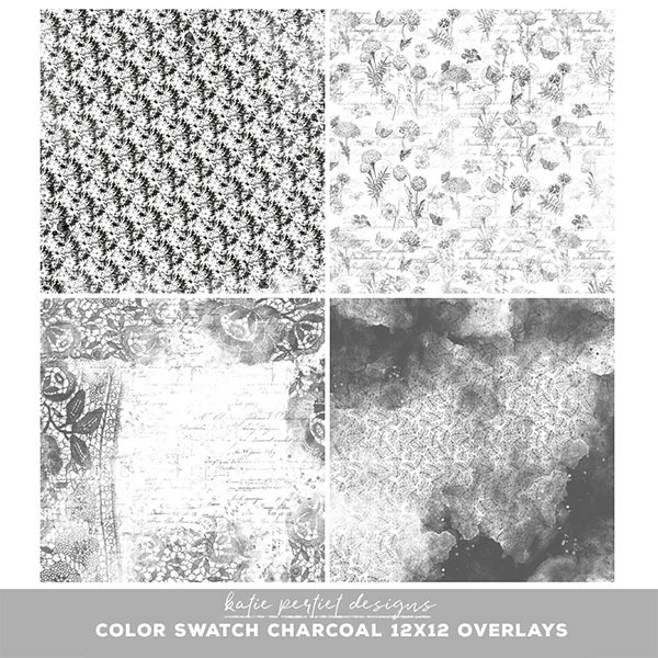 Color Swatch Charcoal 12x12 Overlays Digital Art - Digital Scrapbooking Kits