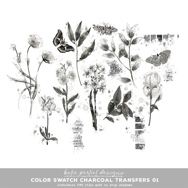 Color Swatch Charcoal Transfers 01 Digital Art - Digital Scrapbooking Kits
