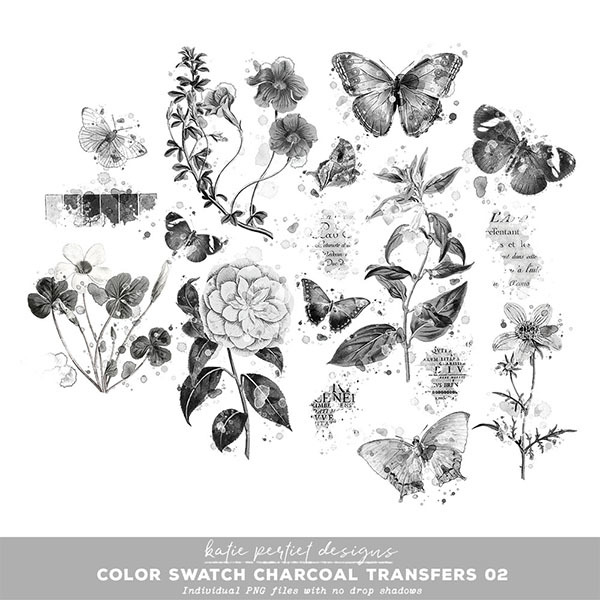 Color Swatch Charcoal Transfers 02 Digital Art - Digital Scrapbooking Kits