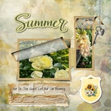 Hues of Summer Bundle