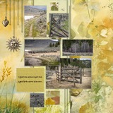 Hues of Summer Bundle