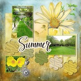 Hues of Summer Bundle