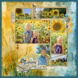 Hues of Summer Bundle