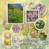 Hues of Summer Bundle