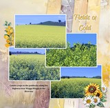 Hues of Summer Bundle