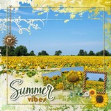 Hues of Summer Bundle