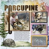 Paper Lovers Bundle Set1