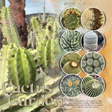 Artistic License Inspirations 3