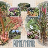 Artistic License Musings - Part 7