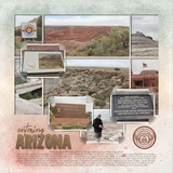 Artistic License Musings - Part 7