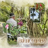 Artistic License Photo Play 4