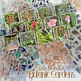 Artistic License Photo Play 4