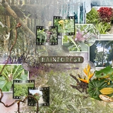 Artistic License Photo Play 4