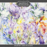 Atelier Art - Iconic Iris Bundle