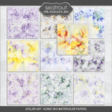 Atelier Art - Iconic Iris Bundle