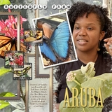 Artistic License Metal Maze