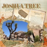 Leatherette Alphabet Set