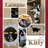 Leatherette Alphabet Set