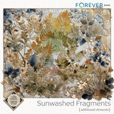 Sunwashed  Fragments Bundle