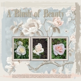 Mixed Mish Mash Set 1