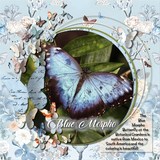 Mixed Mish Mash Set 1