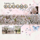 Mixed Mish Mash Set 1