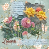 Mixed Mish Mash Set 1