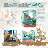 Mixed Mish Mash Set 1