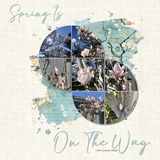 Mixed Mish Mash Set 1