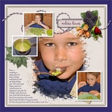 Mulberry Lane Pre-designed Editable Pages