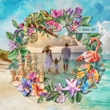 Tropical Watercolor Wreaths 2