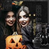 Curated Colors Black Bundle