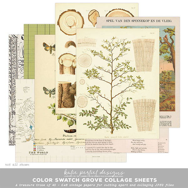 Color Swatch Grove Collage Sheets Digital Art - Digital Scrapbooking Kits