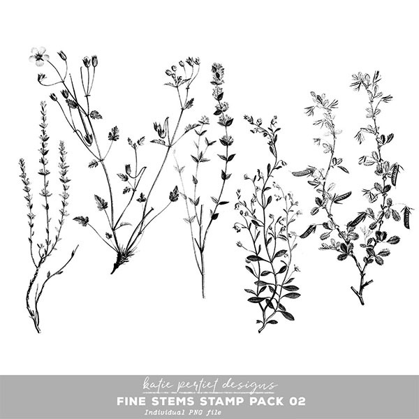 Fine Stems Stamp Pack 02 Digital Art - Digital Scrapbooking Kits