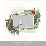 Layer Works 2353