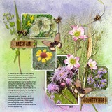 ClusterMania - Mixed Medley Photo Clusters 2