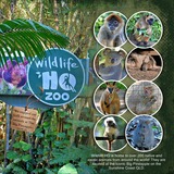 Artistic License Inspirations 3