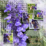 Artistic License Inspirations 3