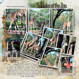 Photo Cluster Mania 3