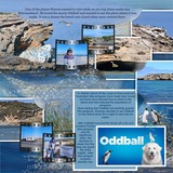 Artistic License Photo Play 4