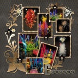 Golden Noir Papers & Gold Overlays