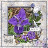 Atelier Art - Iconic Iris Bundle