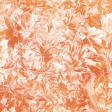 PatternMania Watercolor Autumn