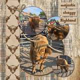 Highland Herd Bundle